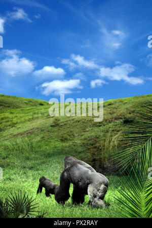 Due gorilla camminando sul verde paesaggio oltre il blu cielo nuvoloso Foto Stock