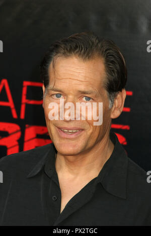 James Remar 07/31/08 "Ananas espresso' Premiere @ Mann Village Theatre, Westwood Foto di Ima Kuroda/HNW / PictureLux Luglio 31, 2008 Riferimento File # 33686 506HNWPLX Foto Stock