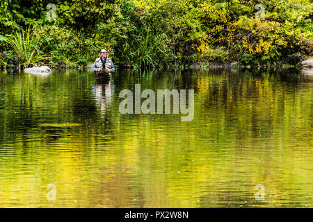 Pescatore a mosca fiume Housatonic   West Cornwall, Connecticut, Stati Uniti d'America Foto Stock