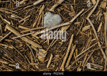 Chiudere fino alla forma di un cuore di pietra circondato da piccoli pezzi di bastoni di legno. Immagine ravvicinata dal di sopra. Foto Stock