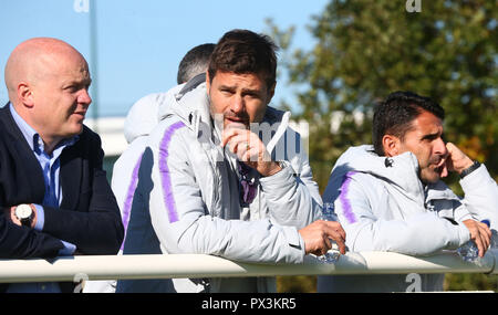 Enfield, Regno Unito. Ottobre 19. 2018 Tottenham Hotspur manager Mauricio Pochettino guardando sotto 23s durante la Premier League 2 match tra Tottenham Hotspur sotto 23s e Leicester City sotto 23s a Tottenham Hotspur Training Center, Enfield, Regno Unito. In Inghilterra il 19 Ott 2018. Azione di Credito Foto Sport FA Premier League e Football League immagini sono soggette a licenza DataCo. Solo uso editoriale. Nessuna stampa di vendite. Nessun uso personale di vendita. NO non corrisposto usare carte di credito: Azione Foto Sport/Alamy Live News Foto Stock