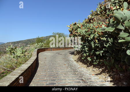 Savoca, Italia. 05 Sep, 2018. Il 05 settembre 2018, l'Italia, Savoca: una strada conduce passato opuntia (cactus) nella cittadina siciliana di Savoca. Il villaggio è stato noto fin dal 1415. Savoca è stata la posizione per diverse scene della trilogia cinematografica Il Padrino. Credito: Alexandra Schuler/dpa/Alamy Live News Foto Stock