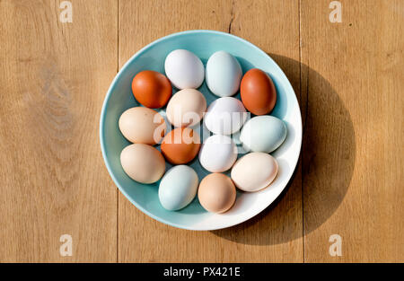 Una ciotola di uova di pollo di diversi colori visto da sopra Foto Stock