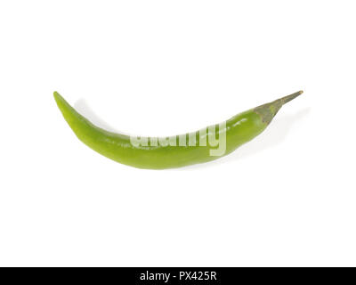 Un piccolo peperoncino verde pepe su sfondo bianco Foto Stock