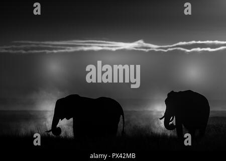 Questa immagine di un elefante a piedi è presa in corrispondenza di Amboseli National Park in Kenya. Foto Stock