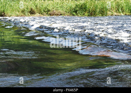 Schiuma bianca e onde nell'acqua che fluisce nella corrente con la riflessione di albero verde nella foresta Foto Stock