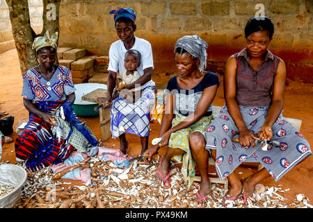 Il gruppo di donne peeling manioca nella periferia di LomÃ©, Togo. Foto Stock