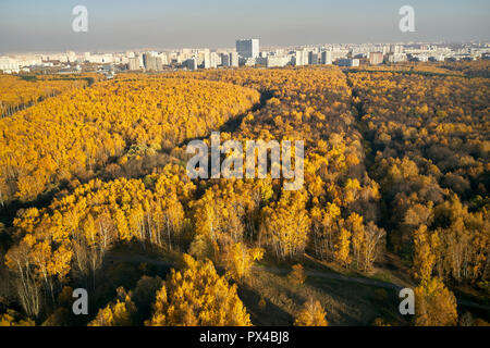 Vista aerea del Bitsevski Park (parco Bitsa) con alberi in autunno dorato di colori. Mosca, Russia. Foto Stock