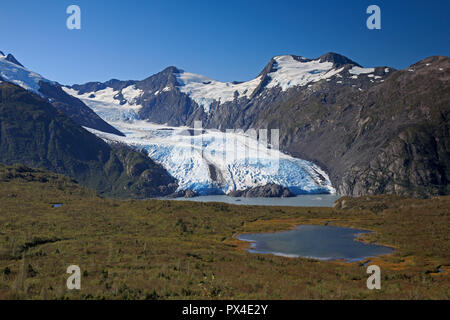 Vista del ghiacciaio Portage Alaska Foto Stock