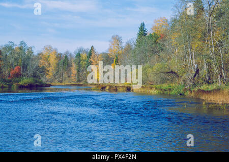 Città Viresi, Lettonia. Alberi e fiume, autunno e giornata di sole. Viaggio Fotografia di Natura 2018. Foto Stock