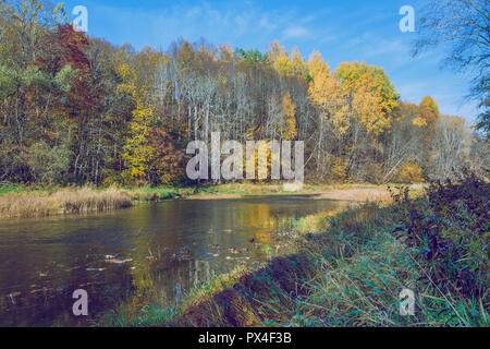 Città Viresi, Lettonia. Alberi e fiume, autunno e giornata di sole. Viaggio Fotografia di Natura 2018. Foto Stock