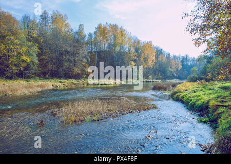 Città Viresi, Lettonia. Alberi e fiume, autunno e giornata di sole. Viaggio Fotografia di Natura 2018. Foto Stock
