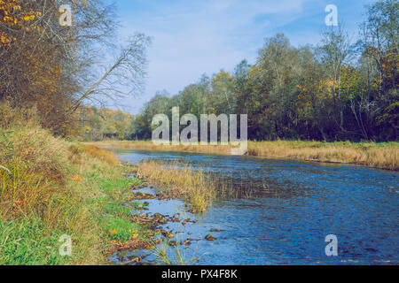 Città Viresi, Lettonia. Alberi e fiume, autunno e giornata di sole. Viaggio Fotografia di Natura 2018. Foto Stock