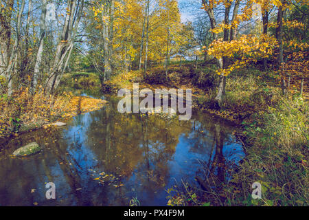 Città Viresi, Lettonia. Alberi e fiume, autunno e giornata di sole. Viaggio Fotografia di Natura 2018. Foto Stock