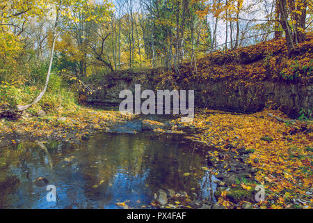 Città Viresi, Lettonia. Alberi e fiume, autunno e giornata di sole. Viaggio Fotografia di Natura 2018. Foto Stock