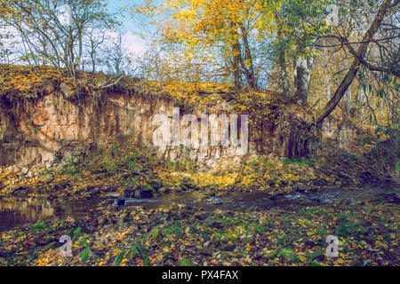 Città Viresi, Lettonia. Alberi e fiume, autunno e giornata di sole. Viaggio Fotografia di Natura 2018. Foto Stock
