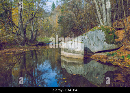 Città Viresi, Lettonia. Alberi e fiume, autunno e giornata di sole. Viaggio Fotografia di Natura 2018. Foto Stock