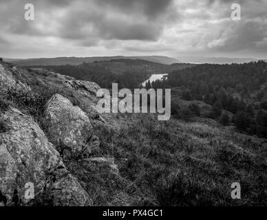 Vista su Tarn Hows Foto Stock