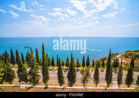 Bella vista dei cipressi lungo la statale sulla costa del Mar Nero Foto Stock