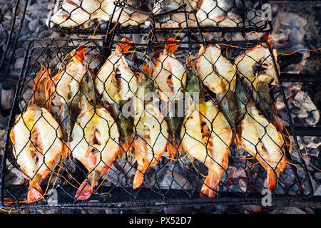 Barbecue di pesce alla griglia di dimensione king gamberi sul fuoco Foto Stock
