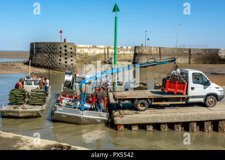 Fort Louvois porto di pescatori, Chapus porta, Charente Maritime, Nouvelle-Aquitaine, Francia Foto Stock