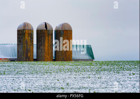 Paesaggio Astratto del settore agricolo con tre silos e un tetto del granaio che mostra dall'altro lato della neve leggermente coperto campo su una collina. Foto Stock