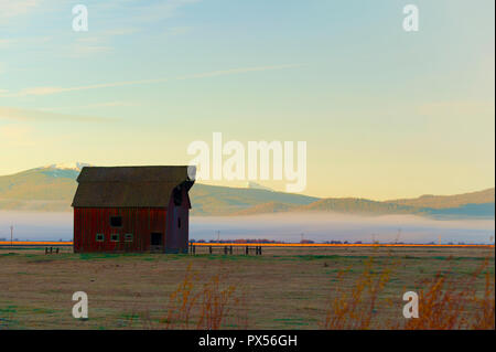 Un vecchio fienile si siede in un pascolo come nebbia ascensori vicino ai piedi delle colline vicino a Fort Klamath, Oregon Foto Stock