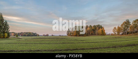 Immagine del paesaggio di terreni coltivati al tramonto in Svezia. Foto Stock