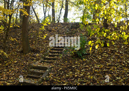 Vecchie scale di pietra nel bosco in autunno. Foto Stock