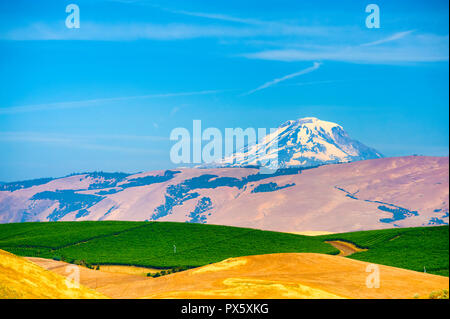 Terreni agricoli in Oregon centrale vicino Dufur, Oregon. Mt. Adams in massa posteriore Foto Stock