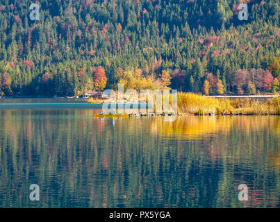 Immagine di kayaker su di una tranquilla montagna lago in autunno Foto Stock