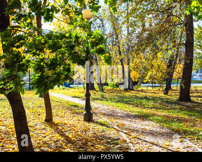Il percorso coperto dalla caduta foglie in Petrovsky park della città di Mosca nella soleggiata giornata autunnale Foto Stock