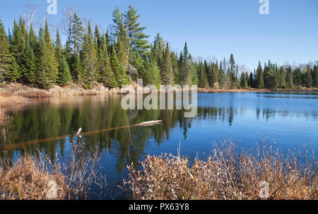 Trote piccole lago nel nord del Minnesota con bellissime acque azzurre e alberi di pino sulla sponda Foto Stock
