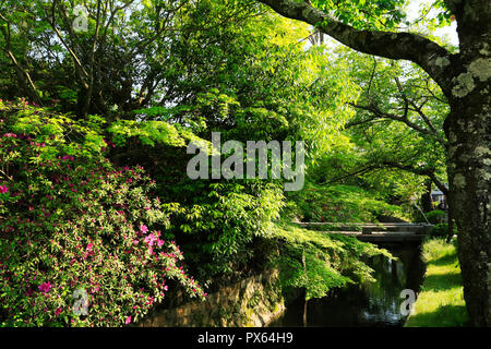 Nuovo verde e modo filosofico Foto Stock