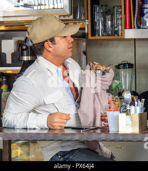 Maschio adulto uomo tenendo un cucciolo di cane avvolto in una coperta in un caffè di Sydney NSW Australia. Foto Stock