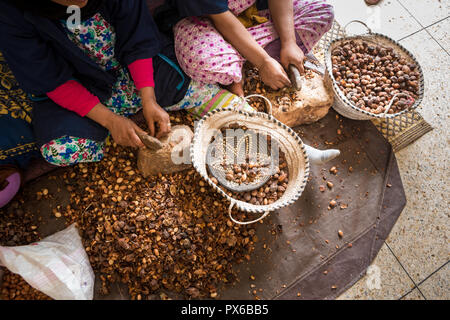 Close-up di mani di donne marocchine rompendo i dadi di Argan (Argania spinosa) in cooperativa in Marocco. Questo frutto è utilizzato come cosmetici e prodotti alimentari. Foto Stock