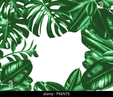 Monocromatico a foglia verde telaio di tessitura isolata con sfondo bianco e del luogo per il testo Foto Stock