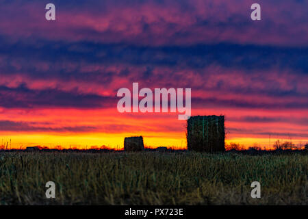 Campo con falciare erba secca sullo sfondo di un tramonto da favola. L'erba viene raccolto in haystacks. Foto Stock