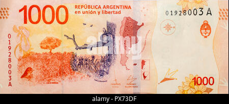 Retro della corrente di migliaia di pesos banconota argentino Foto Stock