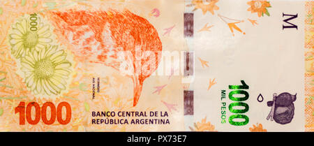 Parte anteriore della corrente di migliaia di pesos banconota argentino Foto Stock