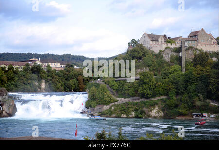 Rhinefalls sul fiume Reno vicino Schaffhausen, Svizzera Foto Stock