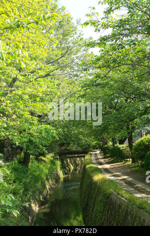 Nuovo verde e modo filosofico Foto Stock