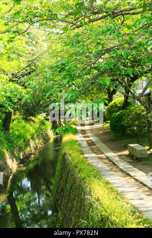 Nuovo verde e modo filosofico Foto Stock