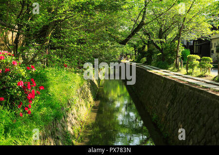 Nuovo verde e modo filosofico Foto Stock