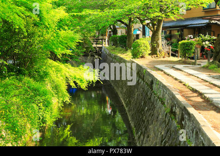 Nuovo verde e modo filosofico Foto Stock