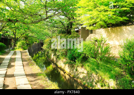 Nuovo verde e modo filosofico Foto Stock