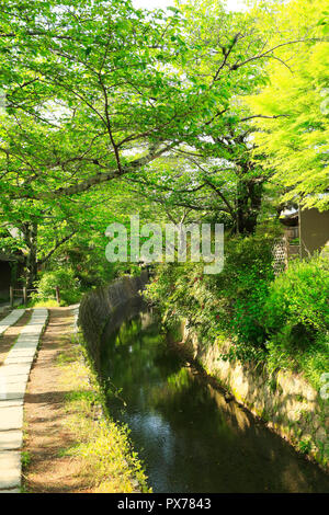 Nuovo verde e modo filosofico Foto Stock