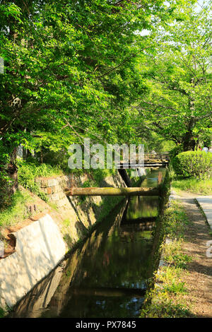 Nuovo verde e modo filosofico Foto Stock