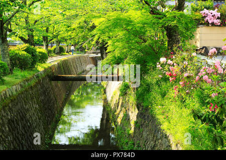 Nuovo verde e modo filosofico Foto Stock