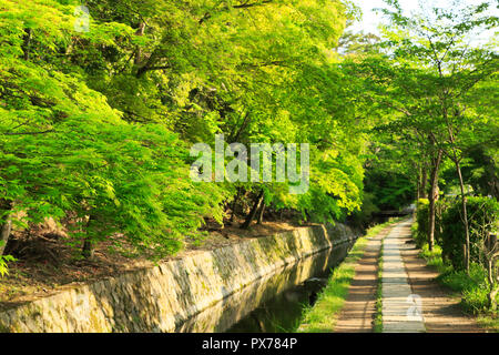 Nuovo verde e modo filosofico Foto Stock